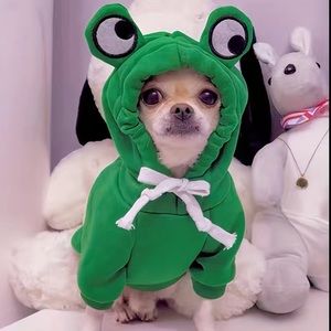 Frog Hoodie for Dogs